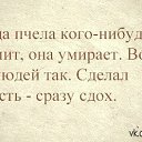 ���� Nadezhda, ����, 68 ��� - ��������� 23 ��� 2014 � ������ ������ ��������