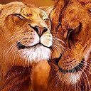 ���� ������ �������, ������, 64 ���� - ��������� 4 ��� 2014 � ������ ���� ����������