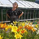 ���� �����, �����������, 59 ��� - ��������� 29 ���� 2014