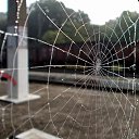 ���� Vikecha, ������ - ��������� 19 ��� 2014 � ������ ������ ��������