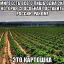 ���� Tonya Selensova, ������������ - ��������� 16 ������� 2014 � ������ ������ ��������