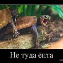 ���� ������, ���������, 42 ���� - ��������� 11 ������ 2014 � ������ �����������