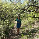 ���� ����, ����, 37 ��� - ��������� 27 ��� 2014 � ������ ���� ����������