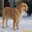 ������ �� ������� ������ ��������