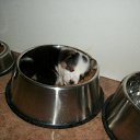 ���� ���� ������, ������, 59 ��� - ��������� 9 ������� 2014 � ������ ������ ��������