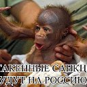 ���� ����, �������, 43 ���� - ��������� 21 ��� 2014 � ������ ������ ��������