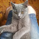 ���� �������, �����-��������� - ��������� 21 ���� 2014 � ������ ������ ��������