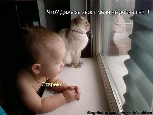 (  ,   - 4  2014  12:39