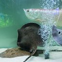  , , 46  -  24  2014      &quot; &quot;