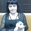 ���� �������, ����� - ��������� 4 ���� 2014 � ������ ���� ����������