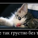 ���� ����, �����-���������, 59 ��� - ��������� 26 ��� 2014 � ������ ������ ��������