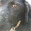  ,  , 58  -  23  2014    