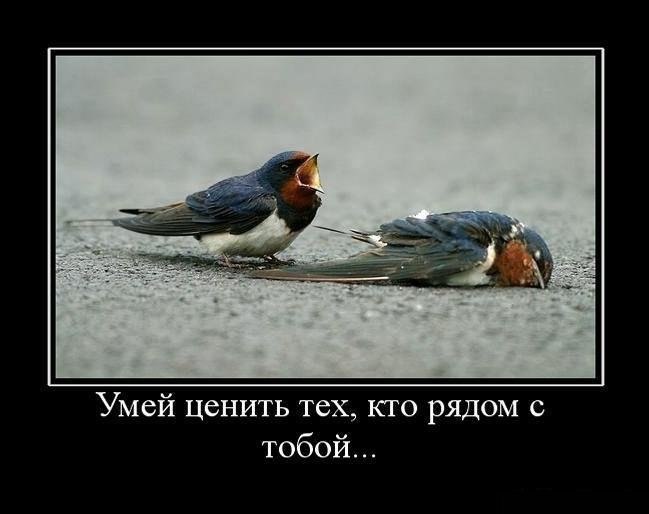 Цени, мой друг, того кто рядом.И не гонись за новизной.Ты лучше добрым нежным взглядомСогрей ...
