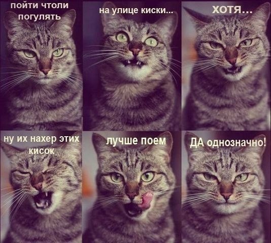   - 9  2014  17:57