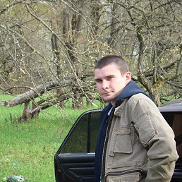 �����, ������, 41 ���