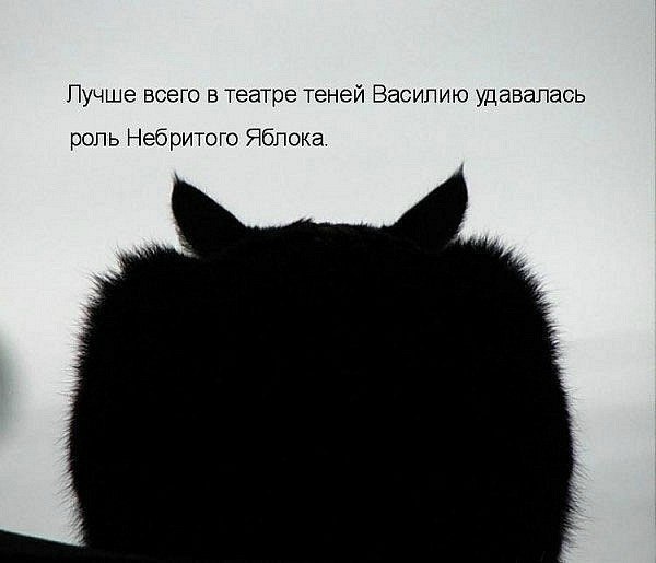  ( ) - 2  2014  13:08