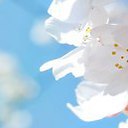  Lusi, , 44  -  27  2014    