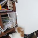 ���� �������, ����, 54 ���� - ��������� 21 ���� 2014 � ������ ������ ��������