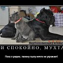 ���� Anuli, ������� - ��������� 11 ���� 2014 � ������ ������ ��������