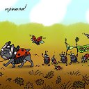 ���� �����, ���������, 44 ���� - ��������� 9 ������ 2014 � ������ ������ ��������