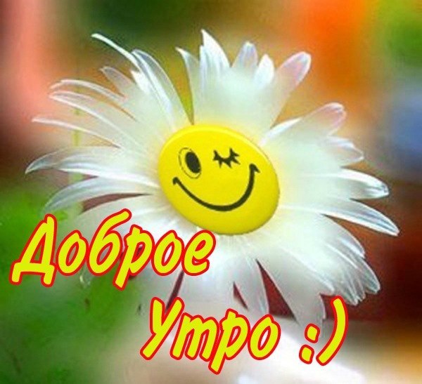  ( ) - 14  2014  09:40