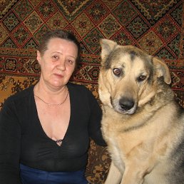 ���� ������, �����-��������� - ��������� 26 ����� 2014