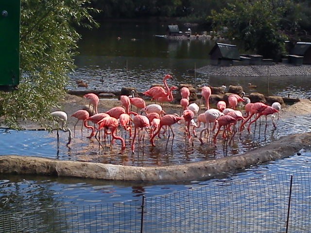  - 17  2014  20:49 - 10