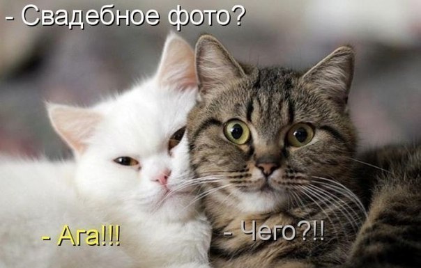 =)