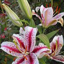  ,  -  26  2014     .