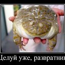 ���� �����, ������, 51 ��� - ��������� 31 ��� 2014 � ������ ������ ��������