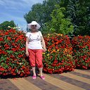 ���� �������, ������������ - ��������� 6 ������� 2014 � ������ ���� ����������