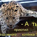 ���� �����, �������, 52 ���� - ��������� 4 ���� 2014 � ������ ������ ��������