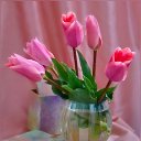 ���� ��������, �����-��������� - ��������� 5 ���� 2014 � ������ ������ ��������