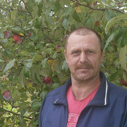 ���� ������, �����-���������, 60 ��� - ��������� 15 ���� 2014