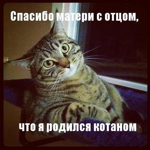  :3 - 5  2014  14:26