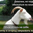 ���� �����, ������������ - ��������� 1 ��� 2014 � ������ ������ ��������