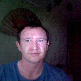 , 41, 