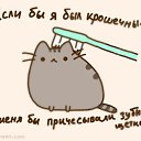 ���� ���, ������ - ��������� 9 ��� 2014 � ������ ���� ����������