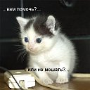 ���� �����, �����������, 68 ��� - ��������� 11 ������ 2014 � ������ ���� ����������