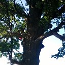 ���� �������, ������, 62 ���� - ��������� 21 ���� 2014 � ������ ���� ����� , ������� ������.�