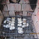 ���� ������, ������ - ��������� 14 ���� 2014 � ������ ����� 2014�