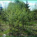 �����! ������� ������ �� ������� ������