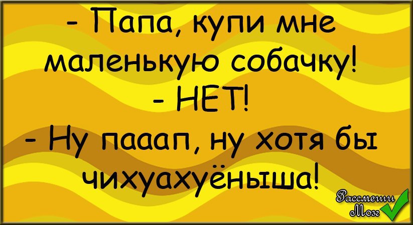 Угадай отца. Папа купи мне собаку. Надпись пап купи мне собачку. Папа купи мне собаку хотя бы маленького чихуахуёныша. Пап купи собачку нет! Ну хотя бы чихуахуёныша..