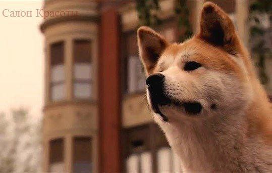 �� ��������� ��� ������ ����� ��������. ������, � ������� �� �����, �����, ��� ����� ��������.