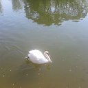 ���� ����, ��������, 58 ��� - ��������� 24 ��� 2014 � ������ ���� ����������