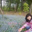 ���� Liydmila, ������ - ��������� 21 ��� 2014 � ������ ���� ����������