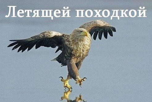  - 22  2014  21:22