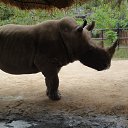 ��� � �������. �� ������� ���� �� �����