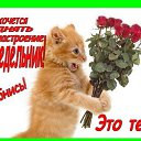 ���� ������, ������, 59 ��� - ��������� 17 ����� 2014 � ������ ������ ��������