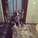 ���� Vladimir, ���������, 64 ���� - ��������� 10 ������ 2014 � ������ ���� ����������